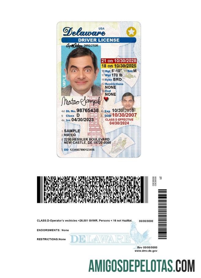 Carta de condução para menores de 21 anos em Delaware nos EUA amostra